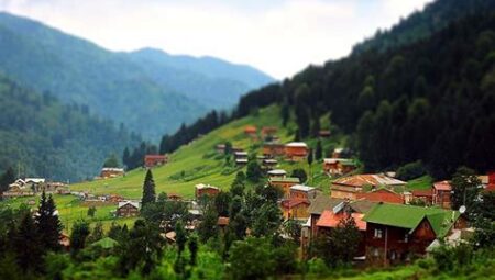 Karadeniz Yaylaları: Doğa ile Baş Başa