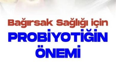 Bağırsak Sağlığı İçin Probiyotiklerin Önemi